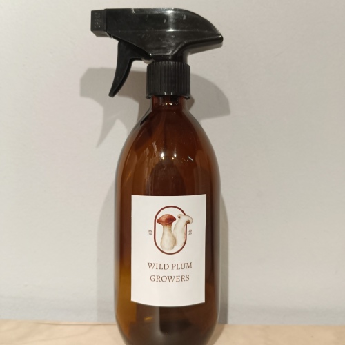 Glass Spray Bpttle