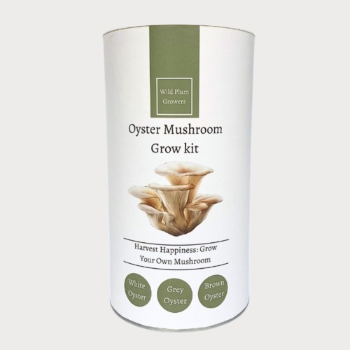 Brown Oyster Mushroom Grow Kit