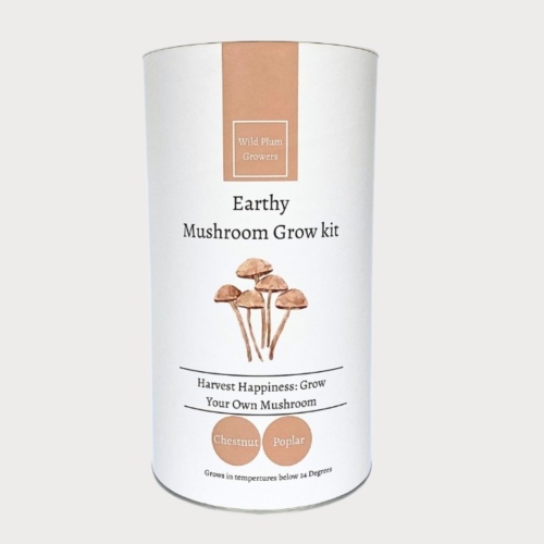 Chestnut Mushroom Grow Kit