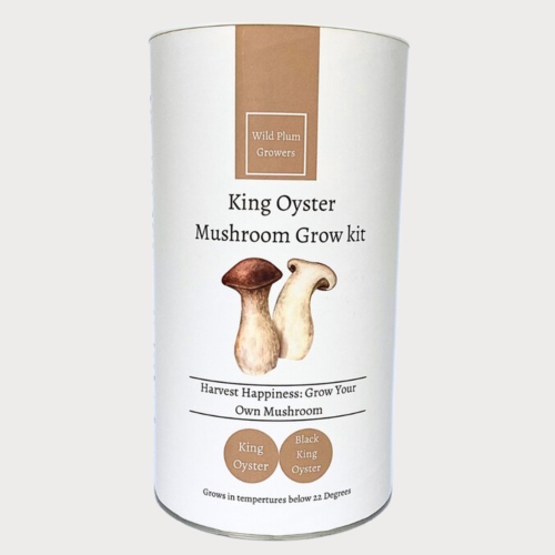 Black King Oyster Mushroom grow Kit
