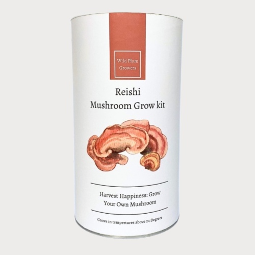 Reishi Mushroom Grow Kit
