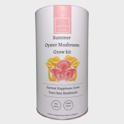 Pink Oyster Mushroom Grow kit