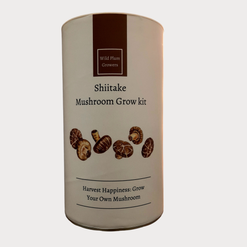 Shiitake Mushroom Grow Kit