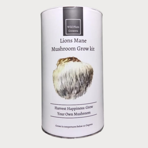 Lions Mane Mushroom Grow Kit